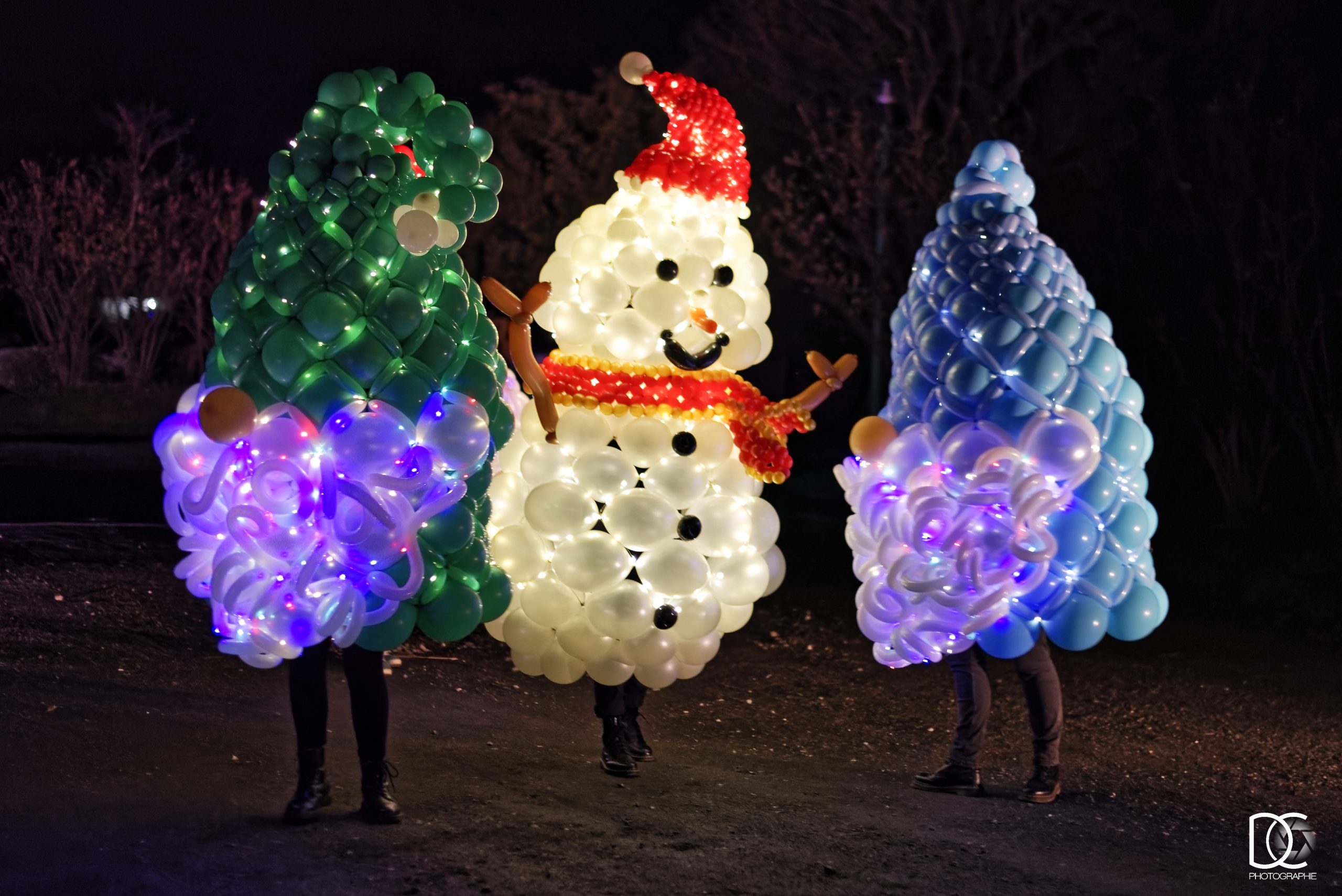 Un spectacle lumineux